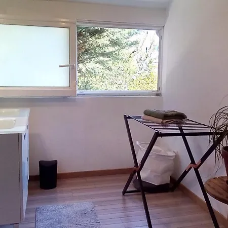Les Appartements Du 31 - Centre Ville - 1Er Etage - 56 M2 Quimper Exterior foto